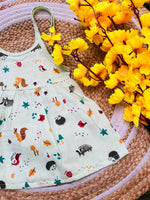 Load image into Gallery viewer, Pista Rush - Muslin Frock 0 to 6M