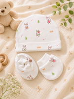 Load image into Gallery viewer, Naruve Baby Girl Gift Box