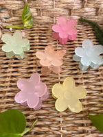 Load image into Gallery viewer, Frosted Matte Flower Claws - NARUVE