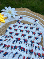 Load image into Gallery viewer, Joy Ride - Cotton Frock 2 - 3 Yrs
